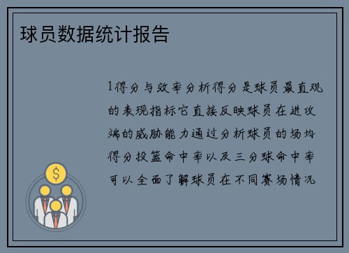 球员数据统计报告